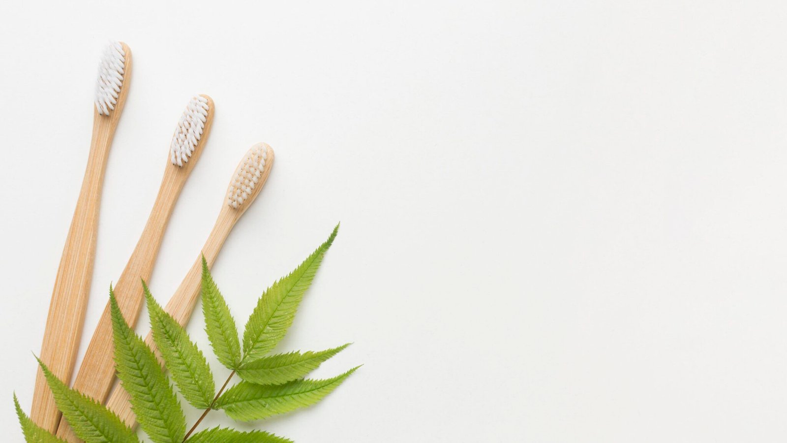 Bamboo Toothbrush